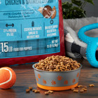Puppy Complete Chicken   Oatmeal Flavor Dry Dog Food For Puppies  15 Lbs  1 Pack