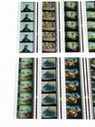 Vintage The Jungle Book 35mm Film Cells Lot Walt Disney Animated Cel Collectable