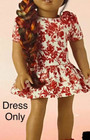 American Girl 18  Doll Dress Red Floral Toile Janie And Jack Collection New