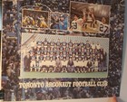Rare 1983 Grey Cup Champions Toronto Argonauts Cfl 17 X 22  Poster Football