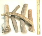 Best Value  2 Pounds Of Seasoned Deer   Elk- Whole Antler Dog Chews - Jumbo   Xl