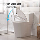 Modern Elongated Toilet One Piece Toilet W  Comfort Seat Ada Height Dual Flush