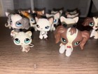 Littlest Pet Shop Multiple Animals Bundle Of 14  can Offer For Separate Ones 