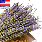 Natural Lavender Bundles  Freshly Harvested 200  Stems Dried Lavender Bunch 16 