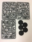 Warhammer Aos Skaventide Stormcast Eternals Liberators  5  Nos