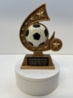 Soccer Trophy 6  Comet Free Custom Engraving  support The Vet 