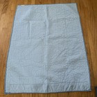 Pottery Barn Kids Baby Butterflies Flowers Blue Crib Toddler Quilt