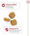 Royal Canin Breed Health Nutrition Poodle Adult Dry Dog Food  10 Lb Bag