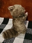 Vintage Steiff Dralon Racoon Cosy Raggy 4820 20 Germany Button Tag Plush Animal
