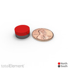 1 2 X 1 4 Inch Rare Earth Magnets N52 With Black Plastic Coating  16 Pack 