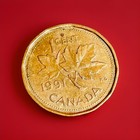 1991 Canada 1 Cent Coin Elizabeth Ii Canadian Penny