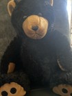 Princess Soft Toys 2005 Black Teddy Bear Stuffed Animal Plush 14  Soft Cuddly