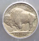 1913  d  Indian Head Buffalo Nickel  type 2  5c Icg Ef45  501 Extra Fine Ecc c