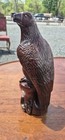 Chinese Eagle  Hand Carved Statue With Glass Eyes
