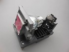 Np25lp Projector Lamp Bulb With Housing For Nec Np-pa500u np-pa600x np-pa5520w