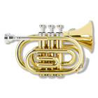 Bb Pocket Trumpet Gold Lacquered Copper Trumpet With Hard Case And Mouthpiece