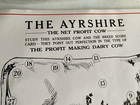 The Ayrshire Cow - Educational Poster - Score Card