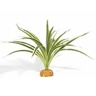 Artificial Spider Plants Reptile Terrarium Decor B-artificial Spider Plants