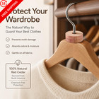 Cedar Blocks For Clothes Storage   Balls   Rings   1 Count  pack Of 1 