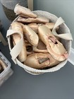 Used Pointe Shoes For Arts crafts  professional Ballet Dancer 