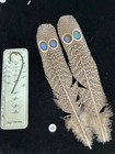Grey Peacock Pheasant  Double  Eye Tail Feathers   58