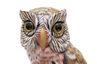 Vintage Hand Painted And Carved Owl Figurine Statue - Wood Base Glass Eyes 7 