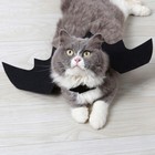Stylish Pet Dog Christmas Party Batmen Pirate Custome Cat Dracula Outfit Clothes