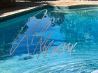 Post Malone Signed Austin Vinyl Cover Jsa Authentic Autograph