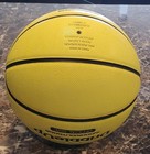Dribble Up Smart Training Official Size Basketball Indoor Outdoor Great Shape 