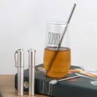 Reusable Collapsible Metal Straws - Stainless Steel With Cleaning L  Silver 