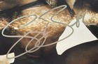 Gerard Butler Signed 11x14 300 Promo Shot Photo Psa Coa