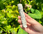 White Sage Smudge Sticks  thin   10 Pack Lot  handy Travel Size Stick 
