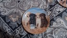 Franklin Mint Collector Plates