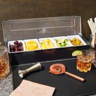Ice Cooled Condiment Serving Tray  Deck Bar Garnish Caddy  5 Compartments
