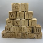 Antique Early 1900s Animal Letter Wooden Blocks Lot Of 20
