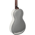 Recording King Rm993 Metal Body Parlor Resonator Guitar Nickelplated