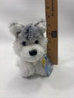 Webkinz Lil    Kinz Ganz Hs120 Husky With Tags  sealed 