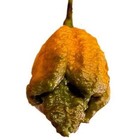 Pepper X Seeds Rare And Super Hot Limited Pepper X Seeds 100  Plant Seeds