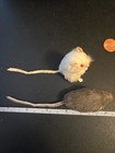 1970 s Vintage Fur Mice Mouse  2  Gray And White
