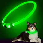 Usb Rechargeable Led Dog Collar Flashing Light Up Safety Pet Collar Nylon
