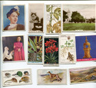 27 Tobacco Card Lot All Different Cards From All Different Sets