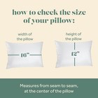 Comfydown Toddler Pillow - 800 - Fill Power Goose Down - 300-tc Cotton Cover