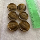 6 Vintage Medium 1    4-hole Tortoise Shell Buttons  Matching  Many Available