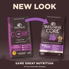 Wellness Core Natural Grain Free Senior Dry Dog Food  24 Lbs 