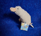 Webkinz Lil kinz  Google  new With Sealed Code tag Hs021