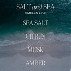 Salt   Sea Reed Diffuser Set - Sea Salt Citrus   Musk Amber Scent Diffuser - Ree