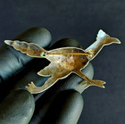 Vintage Old Native American 925 Sterling Silver Turquoise Roadrunner Brooch Pin