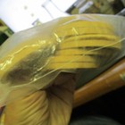 Kenton  Van Wert    Akron  Ohio 2 Milk Bottles   10 Milk Bottle Caps Globe Dairy