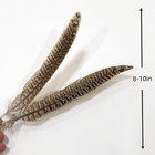 10 Pcs 810 Inch Natural Female Pheasant Feathers Craft Hat Clothing Decor