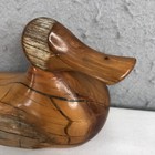 Dave Hughes Driftwood Duck Texas Guadalupe River Carved Sculpture Artist Signed